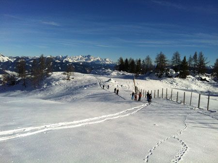 Hochkönig - Mitterfeldalm Hochkönig - Mitterfeldalm