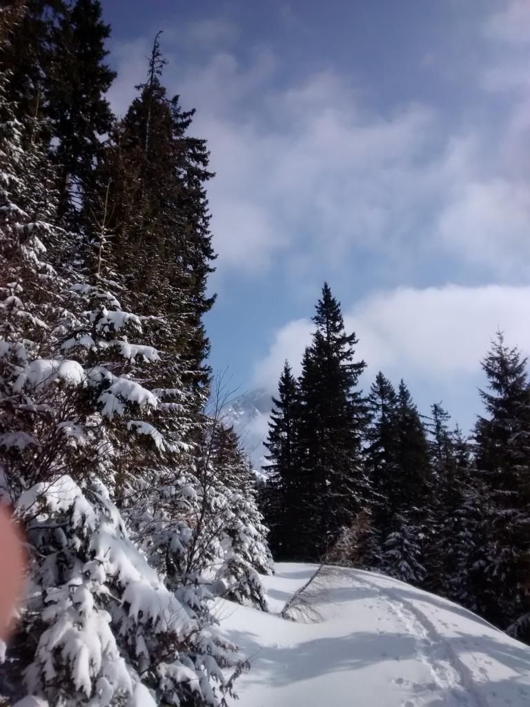 Scheiblingstein
