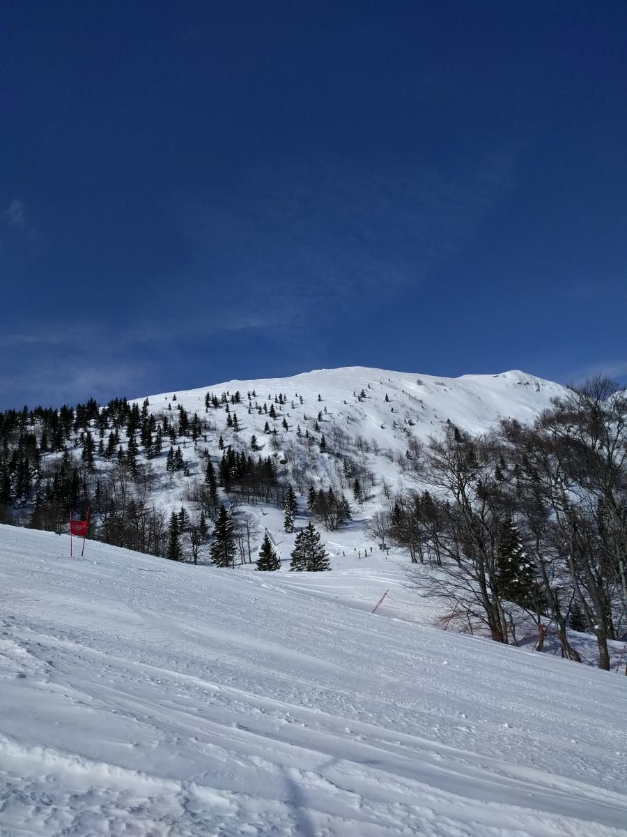 Slatnik