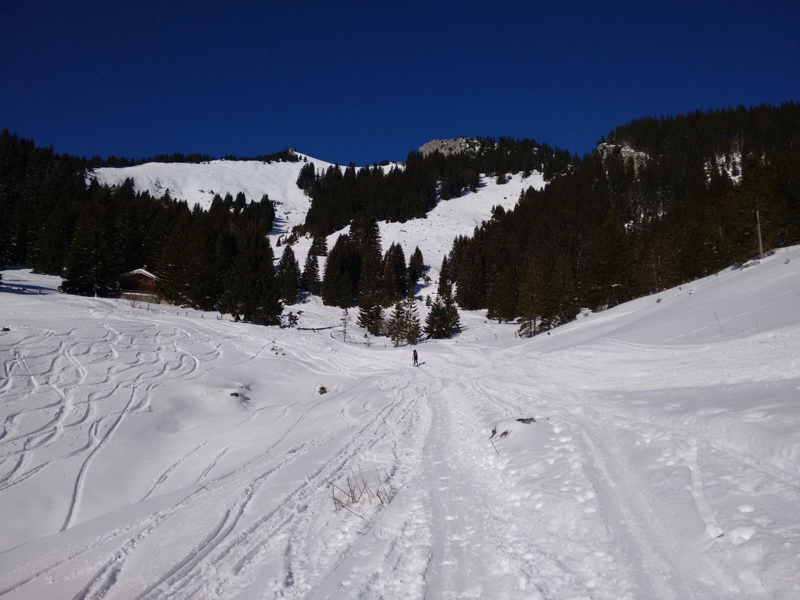 Wildalpjoch
