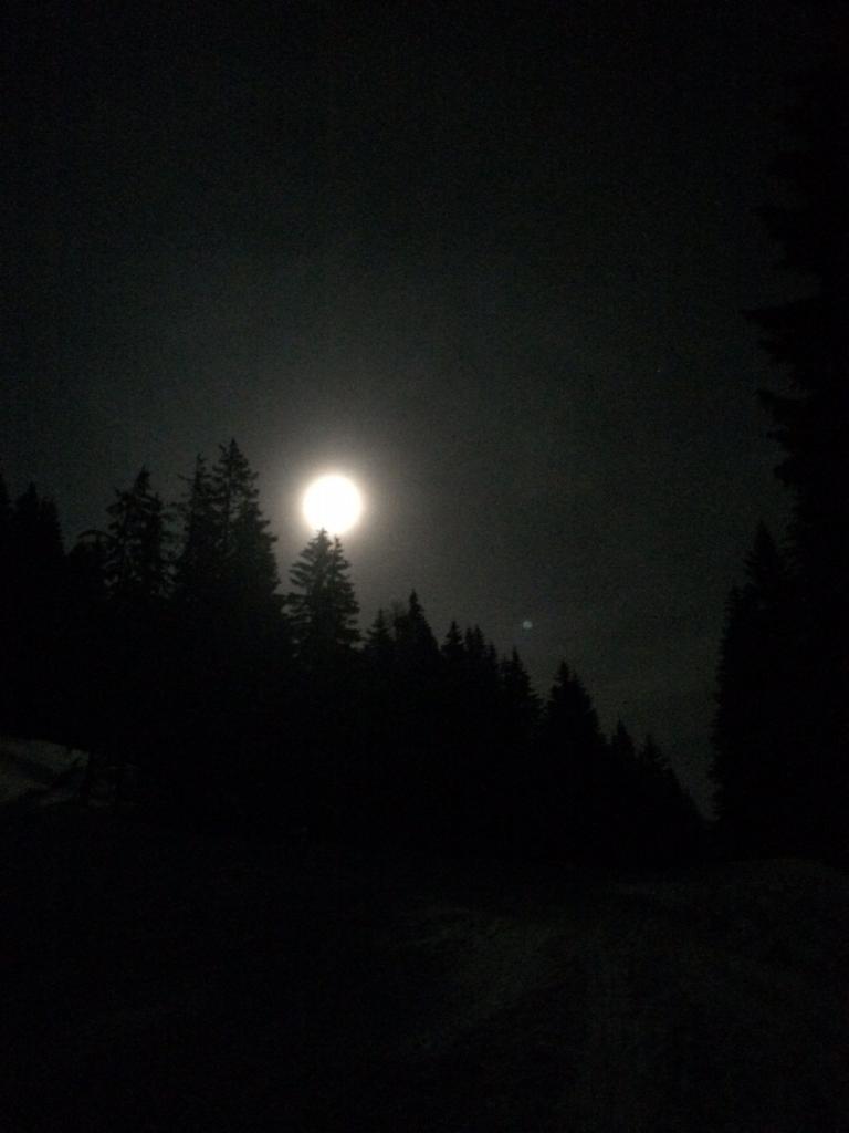 Taubenstein