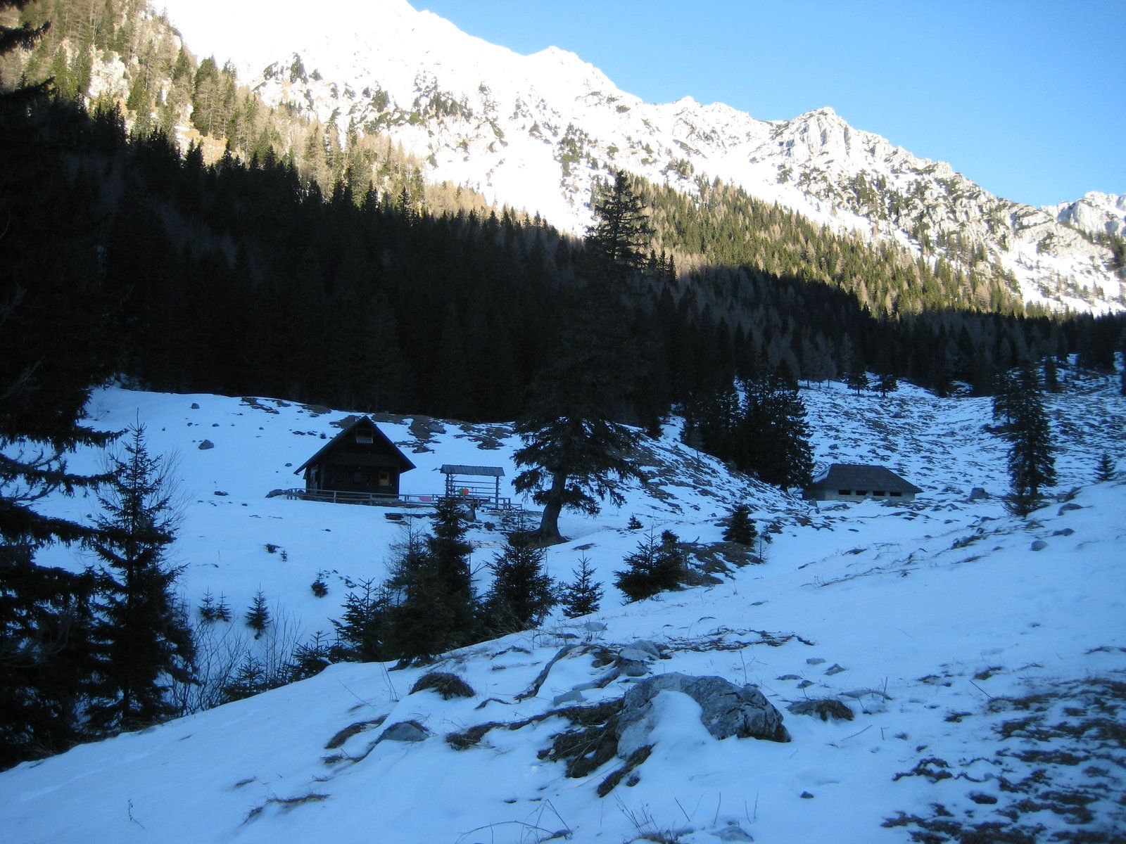 Vrtača