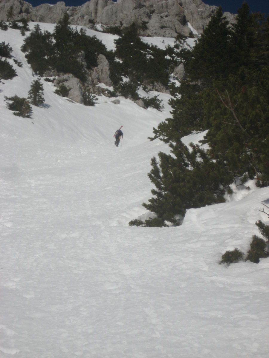 Vrtača