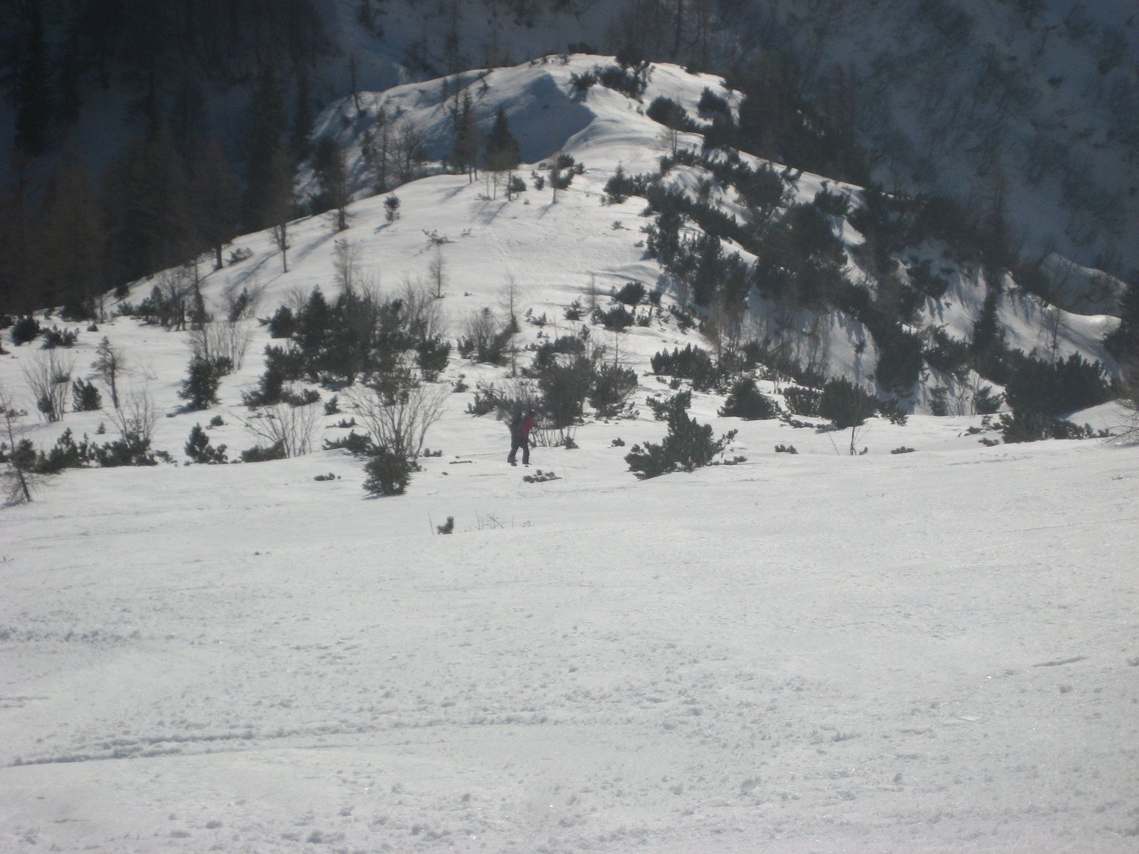 Vrtača