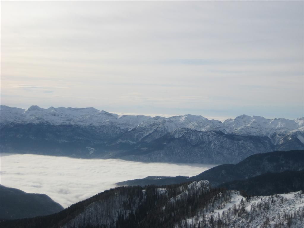 Viševnik