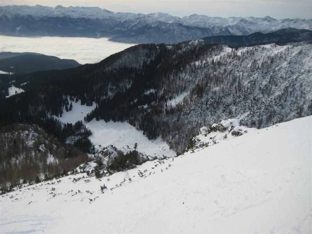 Viševnik