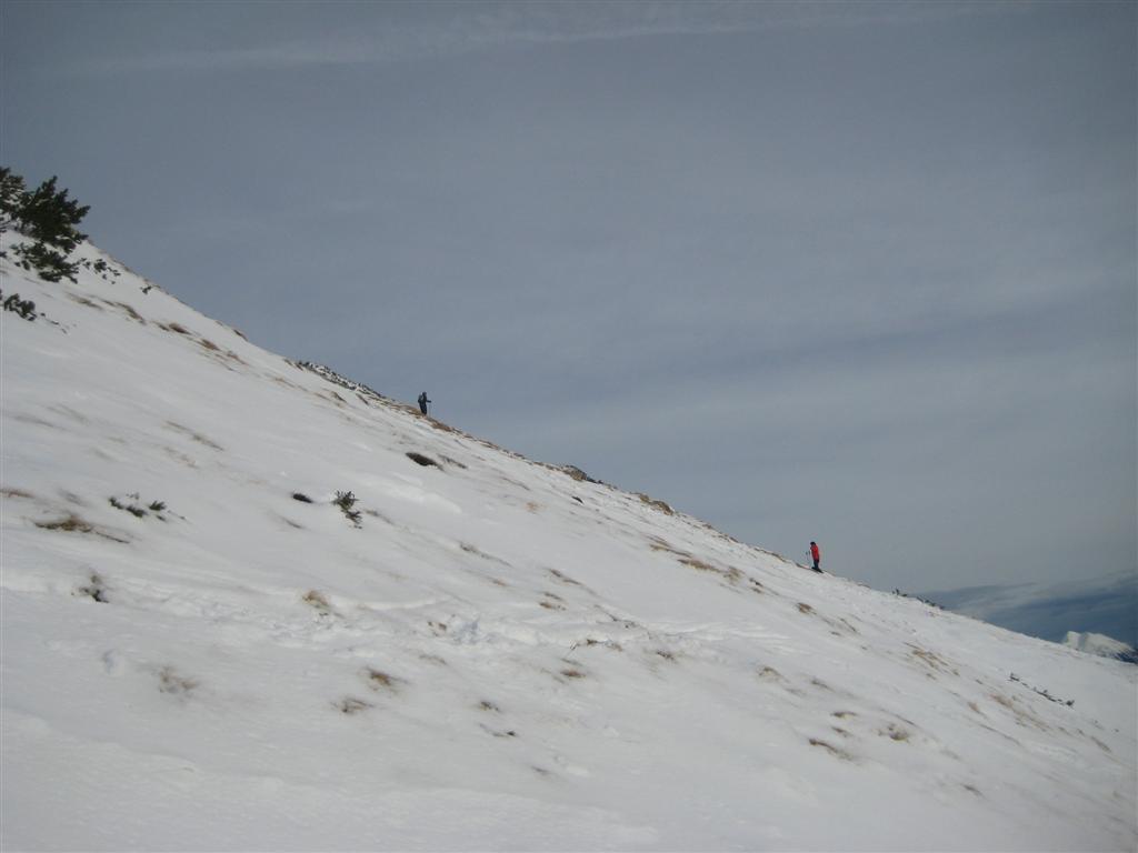 Viševnik