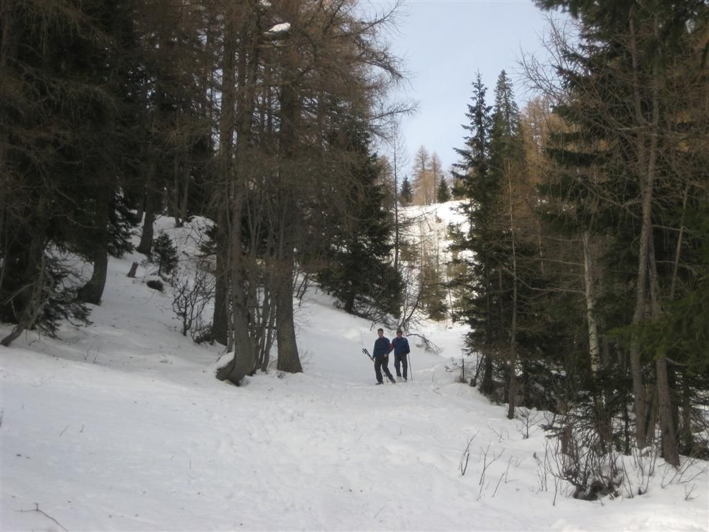 Viševnik