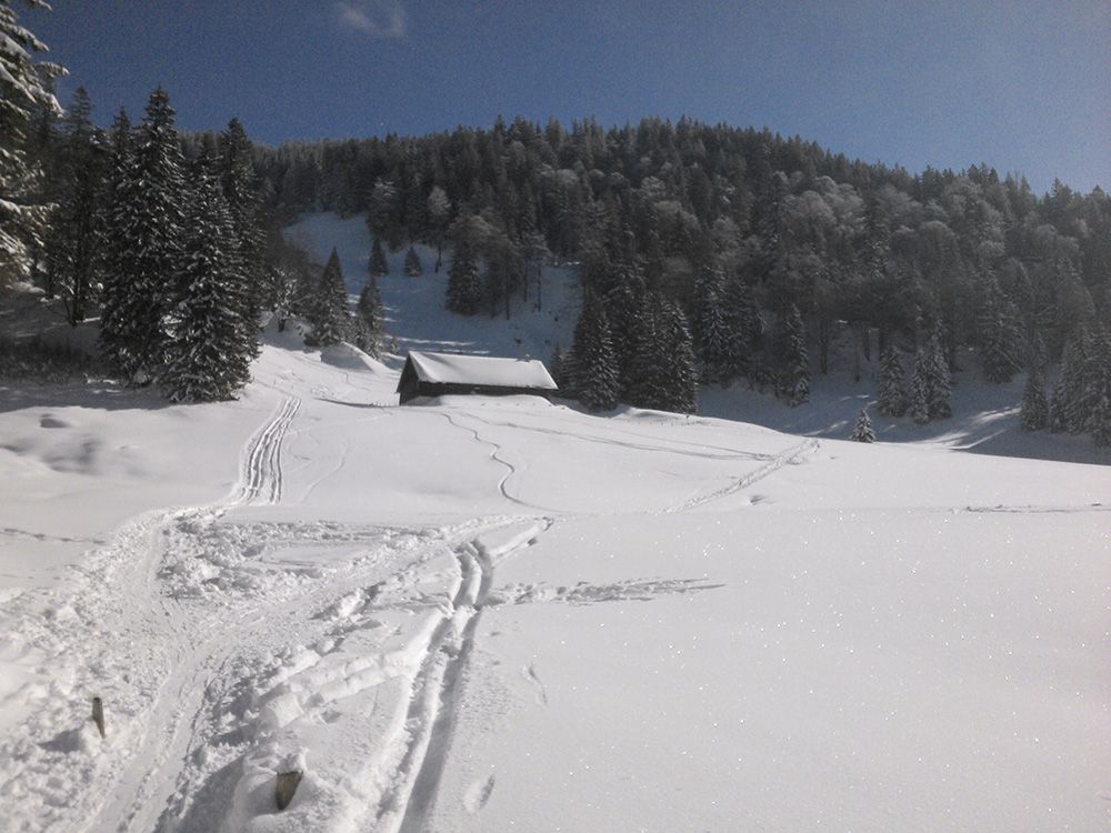 Immenstädter Horn Immenstädter Horn