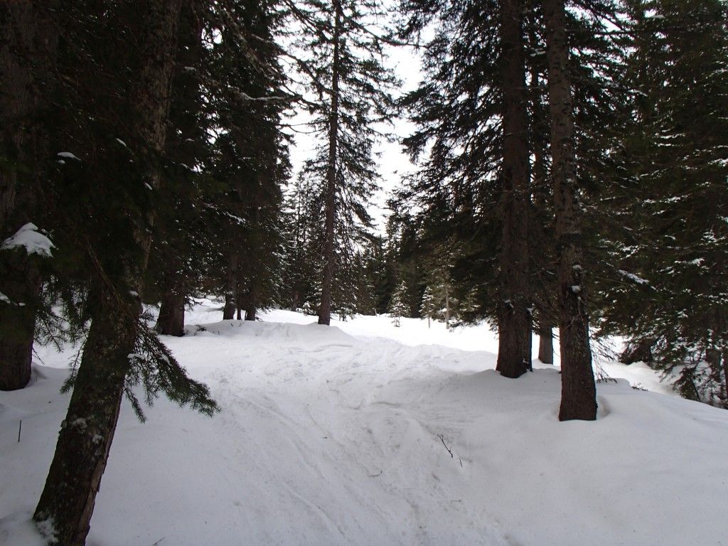 Loesertalerkopf