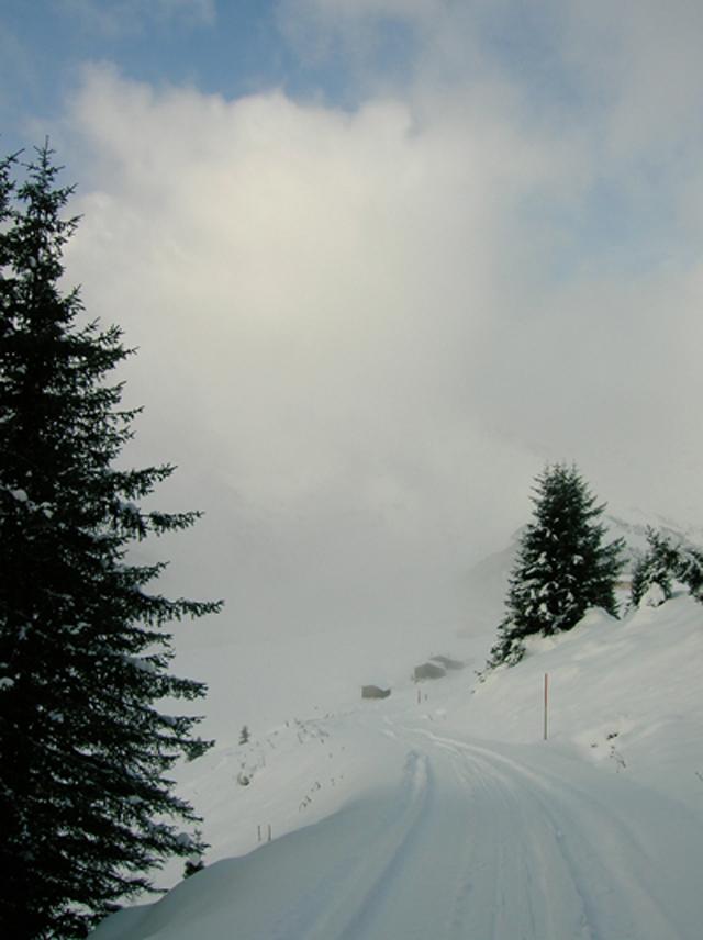 Lämmerbichl