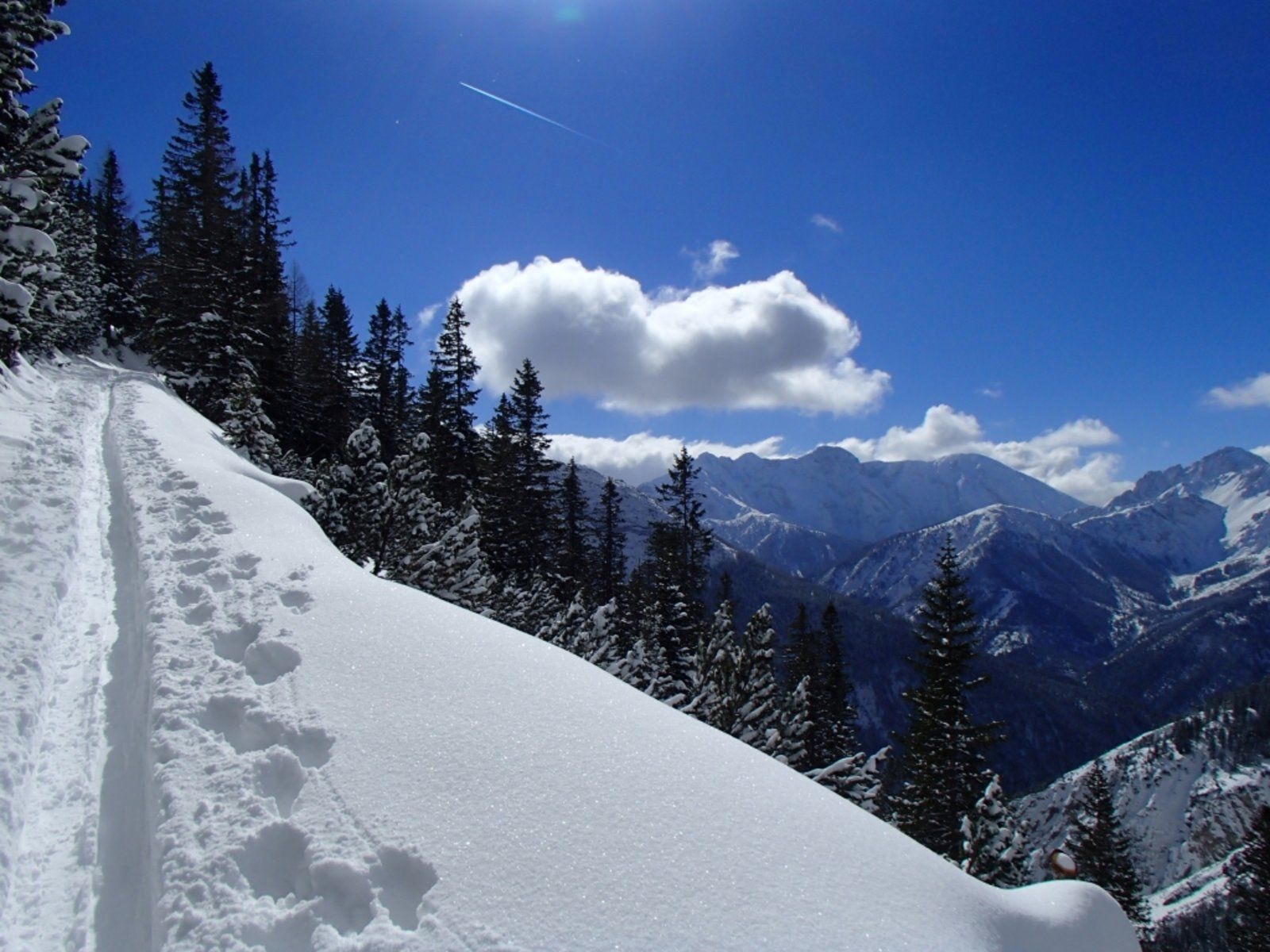 Pleissenspitze