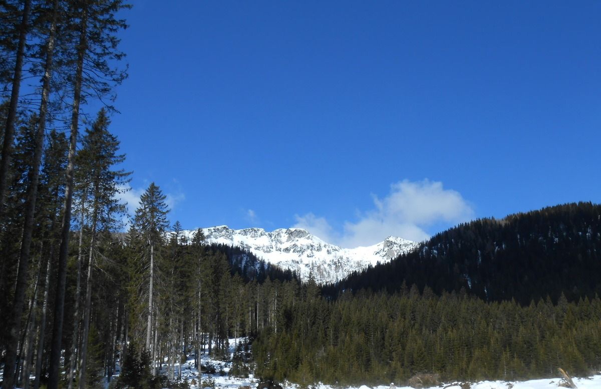 Lipanski vrh