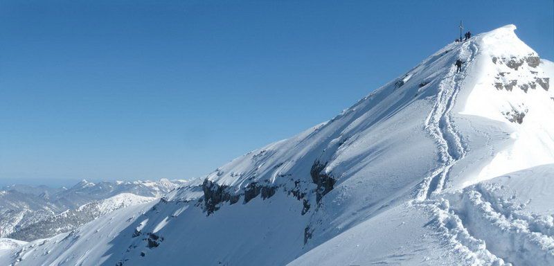 Schafreuter (Schafreiter) Schafreuter (Schafreiter)