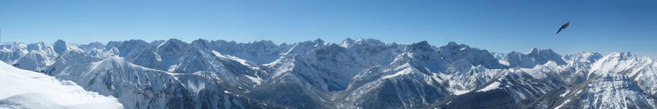Schafreuter (Schafreiter) Schafreuter (Schafreiter)