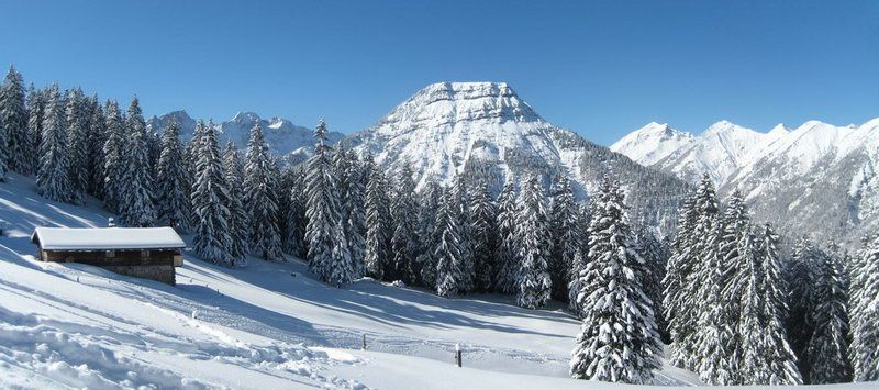 Schafreuter (Schafreiter) Schafreuter (Schafreiter)