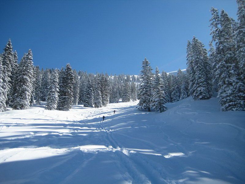 Schafreuter (Schafreiter) Schafreuter (Schafreiter)