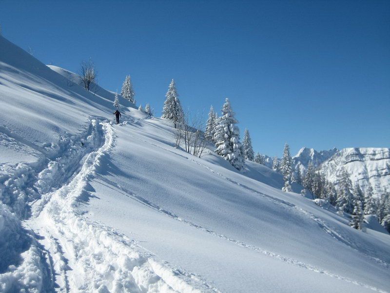 Schafreuter (Schafreiter) Schafreuter (Schafreiter)