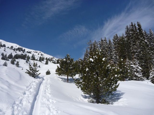 Seeblasspitze
