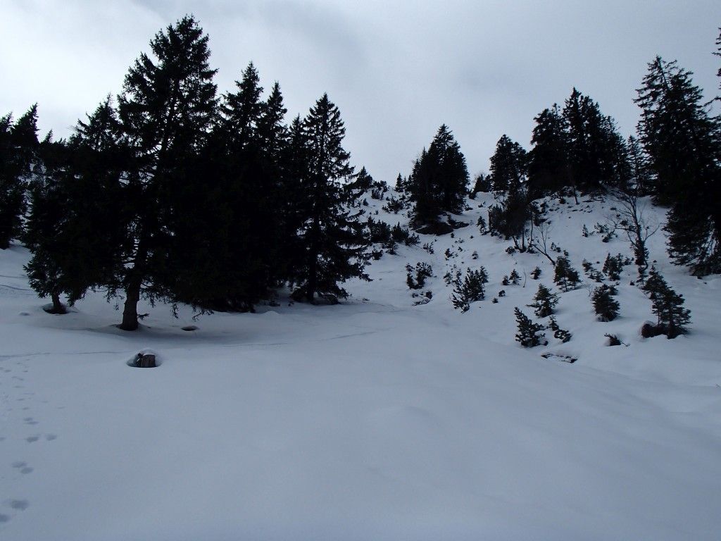 Loesertalerkopf