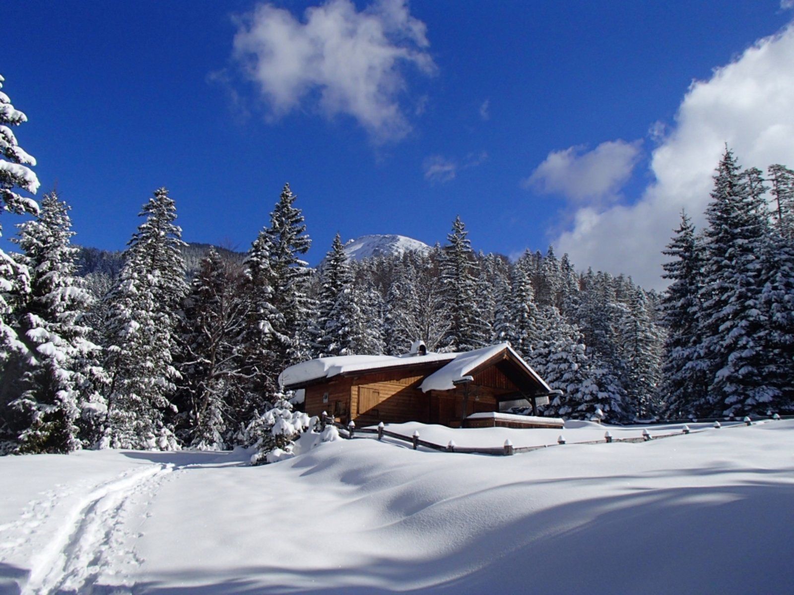 Pleissenspitze