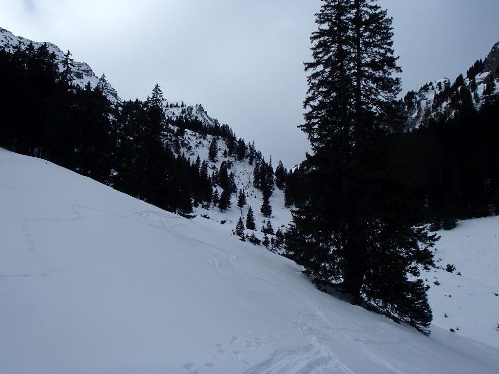 Loesertalerkopf