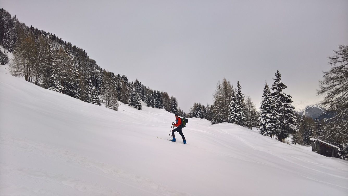 Gogles Alm von der Pillerhöhe