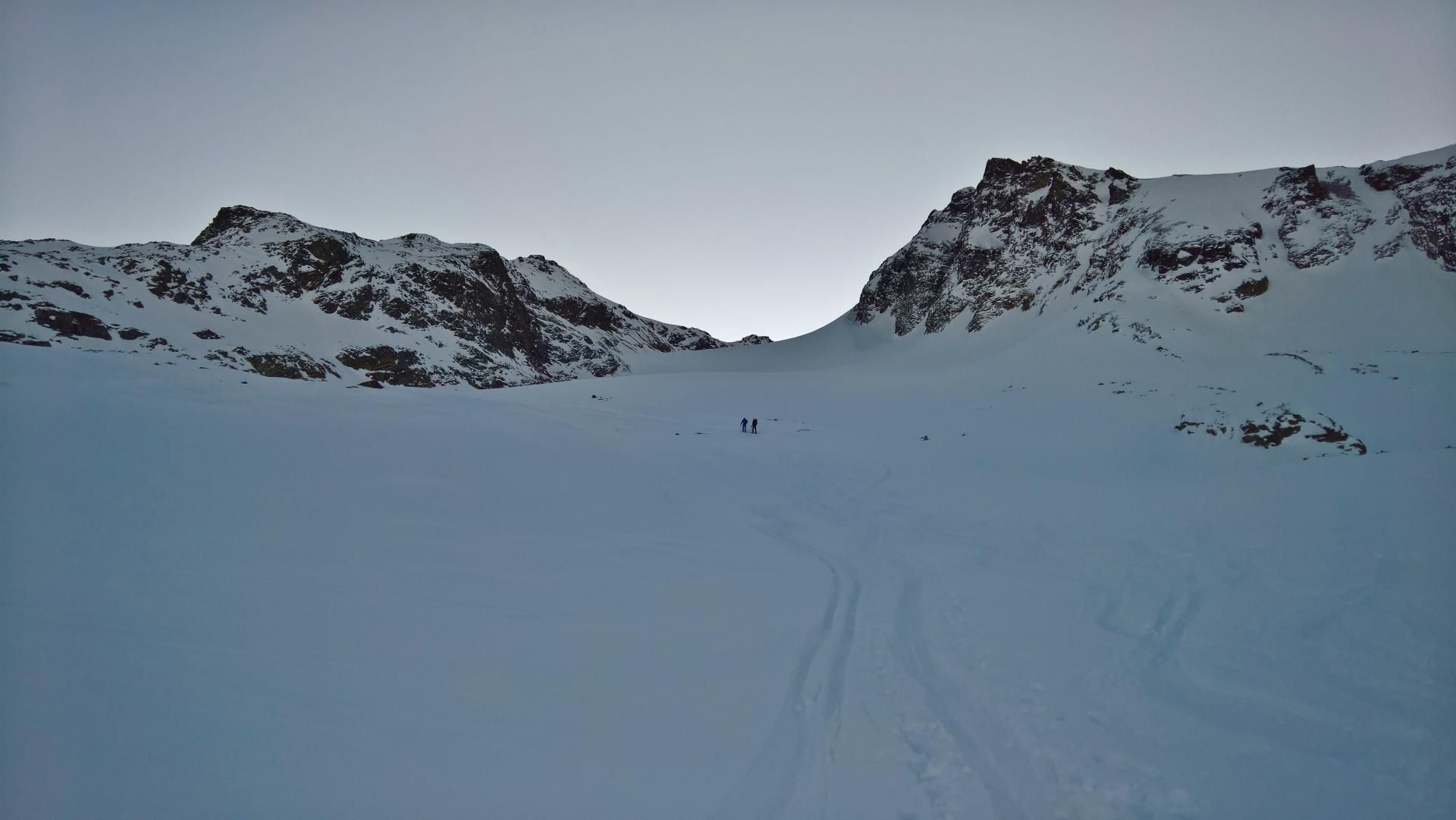 Schneeglocke und Piz Grambola