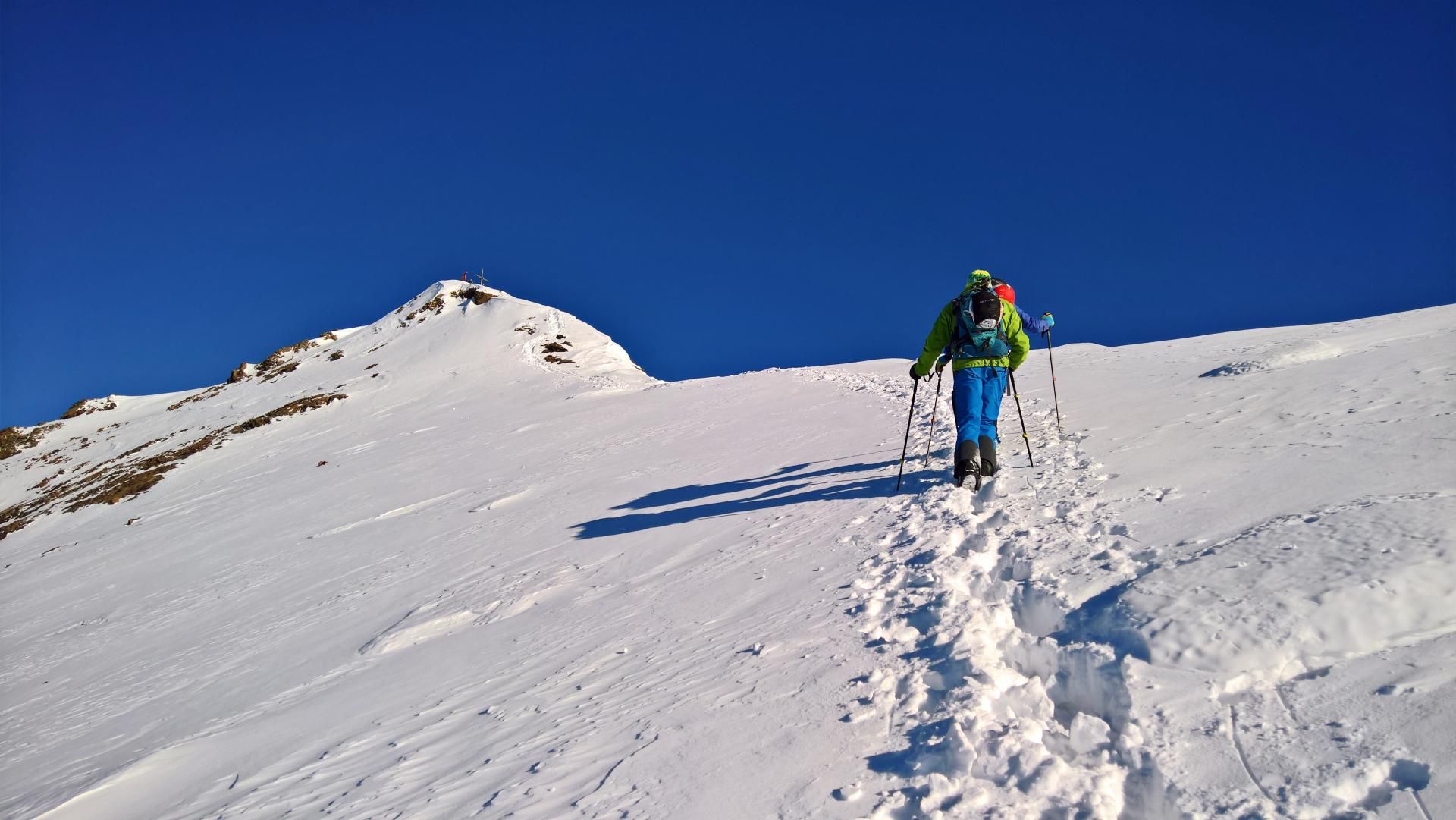 Schneeglocke und Piz Grambola