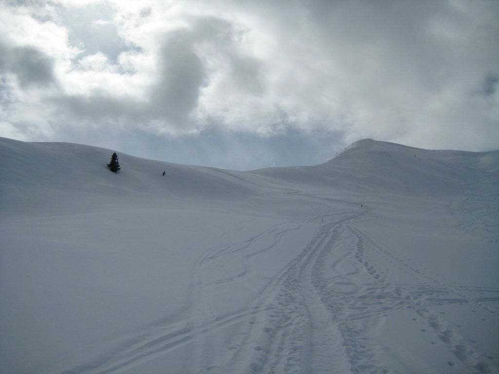 Wurzer Alpenspitze
