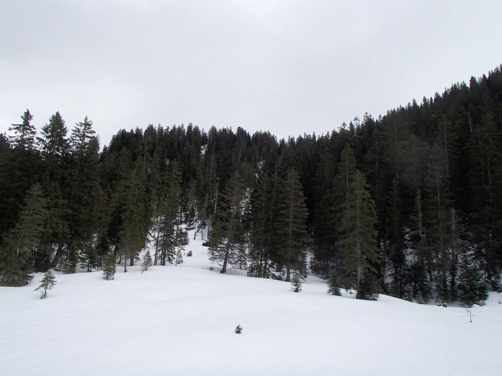 Loesertalerkopf
