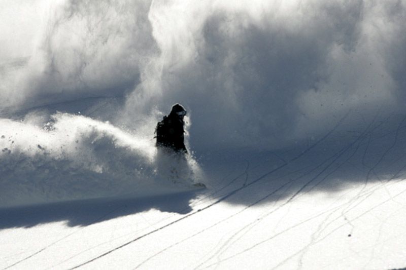 Dave Downing Riding Dave Downing Riding