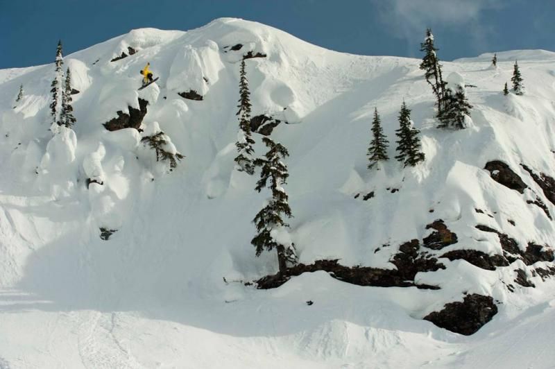Völkl Cashew Splitboard Action